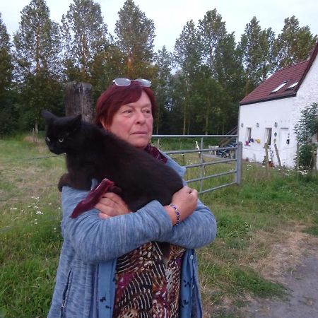Appartamento Ferme Lenfant Rez Ville-Pommeroeul Esterno foto