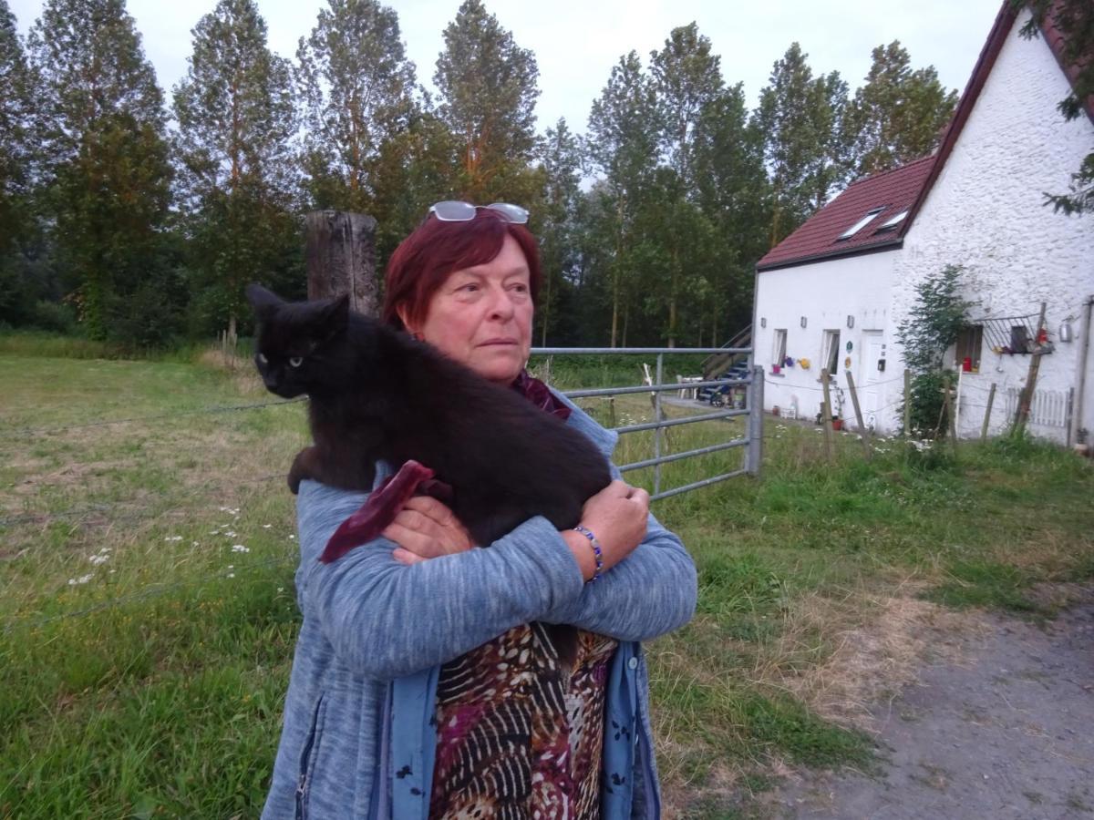 Appartamento Ferme Lenfant Rez Ville-Pommeroeul Esterno foto